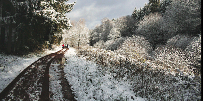 Spaziergänger im Schnee