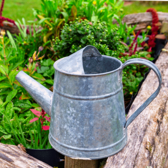 Eine Zinkkanne im Garten