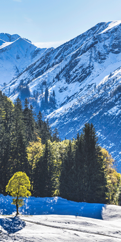 Berglandschaft m Schnee