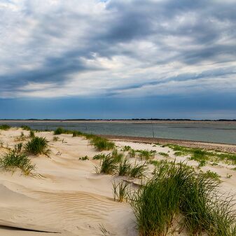 Amrum