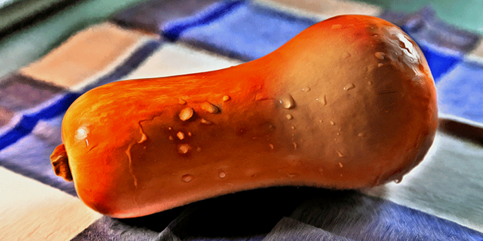 Butternut-Kürbis