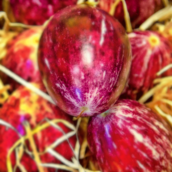 Eierauberginen