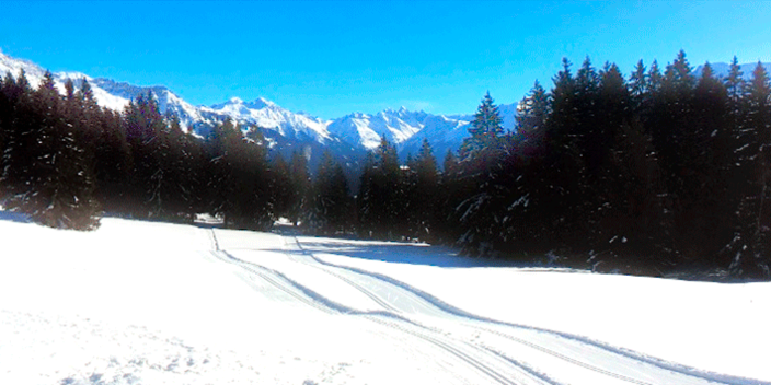 Loipen im Schnee (Foto: Meline Sutter, Prättigau Tourismus)