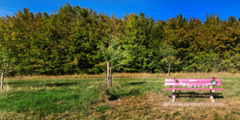 Eine pinkfarbene Bank