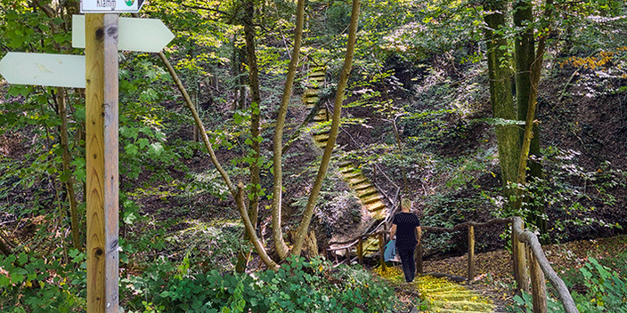 Dalheimer Klamm
